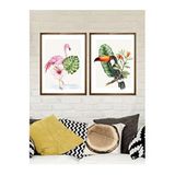 Vetro Design Tropikal Hayvanlar 40x50 cm Ceviz Çerçeveli Tablo