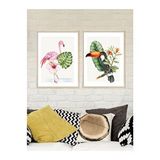 Vetro Design Tropikal Hayvanlar 40x50 cm Natural Çerçeveli Tablo