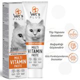 Vet's Plus Multi Vitamin Taurinli Malt 100 gr Kedi Macunu
