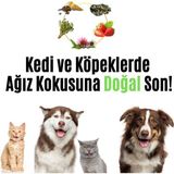 Vetugen %100 Doğal Aktif Bileşenli VETUGEN Kedi ve Köpek Diş Macunu + Şeffaf Kapaklı Parmak Fırça