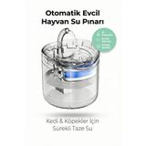 Vexgen 4 Berry Filtreli Otomatik Evcil Hayvan Su Pınarı 2L Sessiz Pompa Kedi Köpek Su Sebili