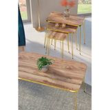 Vexor Zigon Sehpa Kr Ve Orta Sehpa Kr Set Gold Ceviz Tel 1108