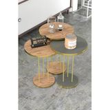 Vexor Zigon Sehpa Terra Gold Ceviz Antrasit Trr01