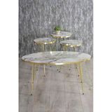 Vexor Zigon Sehpa Ve Orta Sehpa Elips Gold Metal Ayak Gold Efes Set