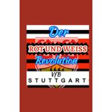 Vfb Stuttgart: Die rot-weiße Evolutionssaison - Der unzerbrechliche Geist der Fans des Vfb Stuttgart und eine herausragende Bundesliga-Saison, Reise an die Spitze des deutschen Fußballs,