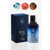 Vibe Invince Erkek Parfüm EDP 100 ml Woody | Aquatic
