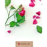 Vice Kişiye Özel Etiket -144 Adet Kraft Sticker - Marka Etiketi (1,8 x 5.5 Cm) - Kahve