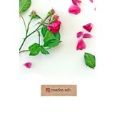Vice Kişiye özel etiket -144 adet Kraft sticker - Marka Etiketi (1,8 x 5.5 cm)