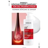 Vichy Dercos Başlangıç ve İleri Seviye Saç Dökülme Önleyici ve Kökten Uca Canlandırıcı Şampuan 400 ML