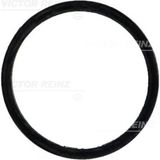Victor Reinz 71 Reınz -31647-0 Manifold Contası Emme Mercedes C Serisi W202 S202 W210