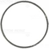 Victor Reinz 71 Reınz -37213-0 Egzoz Manifold Contası Renault Kerax Premium