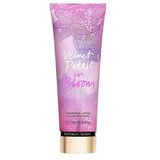 Victoria's Secret Velvet Petals İn Bloom Fragrance Lotion 236 Ml Kadın Vücut Losyonu