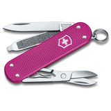 Victorinox VT 0.6221.251G İsviçre Çakısı
