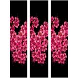 Videolu 3 Adet Pembe Ispirya Çiçeği Fidanı 40-60 Cm Saksılı Çiçekli Bodur Spiraea Vanhouttei