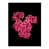 Videolu Pembe Ispirya Keçi Sakalı Çiçeği Fidanı 40-60 Cm Saksılı Çiçekli Bodur Ispirya Spiraea