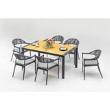 Vieno Home Garden Roxy Rita Alüminyum Bahçe Balkon Masa Takımı (90cm X 160cm) Antrasit