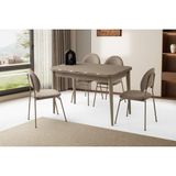 Viento Mobilya Kelebek Kütük Cappicino Highgloss Açılır 120X70 Masa 6 Adet Babyface Metal Suna Sandalye Masa Takımı - Cappucino - 120 X 70