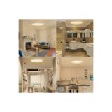 Viesteknoloji Modern Ledli Aavize 24w Metal Kasa 3200k Gün Işığı Banyo Balkon Wc Aydinlatma Led Armatur