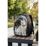 Vigi Store Premium Deri Astronot Kedi Taşıma Çantası Şeffaf Pet Sırt Çantası Köpek Taşıma Çantası Siyah