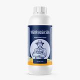 Vigor Alga Sea (Azotlu Sıvı Organomineral Gübre) 1 Lt