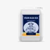 Vigor Alga Sea (Azotlu Sıvı Organomineral Gübre) 20 Lt
