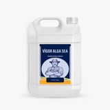 Vigor Alga Sea (Azotlu Sıvı Organomineral Gübre) 5 Lt