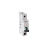 Viko 4VTB-1B20 1X20A 4.5KA B Tipi Otomatik Sigorta
