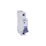Viko 6VTB-1B25 Otomatik Sigorta 6kA B Tipi 1 Kutup 25A