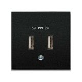 Viko Novella Siyah USB Şarj Prizi Kapak