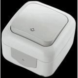 Viko Palmiye Nemliyer Light Anahtar Gri Ip54