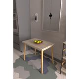 VİLİNZE Avanos Mdf Traverten Sabit Mutfak Masası - 60x90 Cm