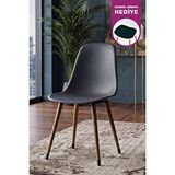 Vilinze Home Eames Kestane Ahşap Ayak Plastik Füme Sandalye Füme/Kestane