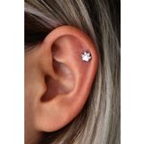 Vilma Aksesuar Cerrahi Çelik Kedi-köpek Patisi Helix Piercing Gümüş Renk (8mm)