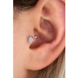Vilma Aksesuar Cerrahi Çelik Taşlı Kaplumbağa Tragus , Helix Piercing (6mm)