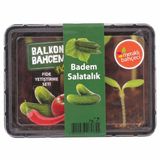 Vilmorin Balkon Bahçem Salatalık Fide Yetiştirme Kiti