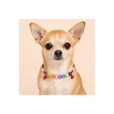 Vina Petshop Vina Beads İsme Özel Kedi Köpek Kolyesi - İsimli Tasma