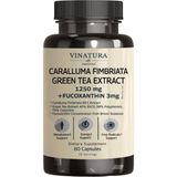 Vinatura Caralluma Fimbriata, Egcg 45% Extract 1250MG + Fucoxanthin *usa Made & Tested* For Immune Support, Energy And Mental Focus - 60 Capsules - Aromasız