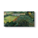Vincent Van Gogh - Gelincik Tarlası Tablosu 100 x 50