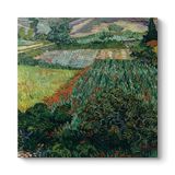 Vincent Van Gogh - Gelincik Tarlası Tablosu 80 x 80