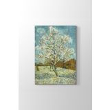 Vincent Van Gogh - The Pink Peach Tree Tablosu