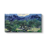 Vincent Van Gogh - Zeytin Ağaçları Tablosu 80 x 40