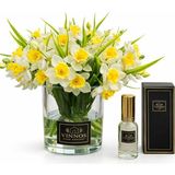 Vinnos Home & Concept Nergis Çiçekli Vazo Seti & Oda Kokusu 30 ml - Premium Dekoratif Hediye - Sarı - Yeşil