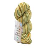 Vintage Organic Hand Paint Örgü İpi Vahşi Orman%100 Yün 100g 123m (SE716)