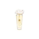 Vintessy Missi 400 ml Konik Cam Şişe Ekru Seramik Taşlı Oud Vanilya Oda Kokusu - 1 kg
