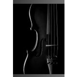 Violin Sketchbook