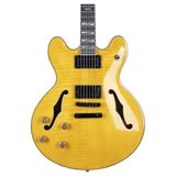 Vionna Elektro Gitar - Yüksek Ses Kalitesi - 3 Renk Sunburst