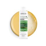 Vionna Vıchy Dercos Anti Dandruff Kuru Saçlar Için Kepek Karşıtı Şampuan 200 ml