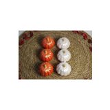 VİSARBOR KAHVE YANI MİNİ KABAK SUNUMLUK/DRAJELİK/LOKUMLUK/ŞEKERLİK 6'lı SET