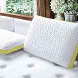 Viscofoam Ergofoam Galaxy Motion Ortopedik Yastik Yumusak Visco Yastik Soft 1.0