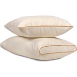 Viscoleff Exclusive İkili Barbo Yastık